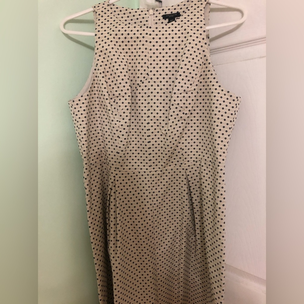 Ann Taylor Polka Dot Sleeveless Dress Size 10P
